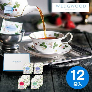 EFbWEbh Ch Xgx[eB[obOZbg12 WEWT-12 Mtg 䋟  TԂ @o Ԃ @v @ @v r  