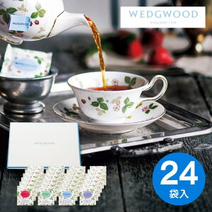 EFbWEbh ChXgx[eB[obOZbg24 WEWT-24 Mtg 䋟  TԂ @o Ԃ @v @ @v r  