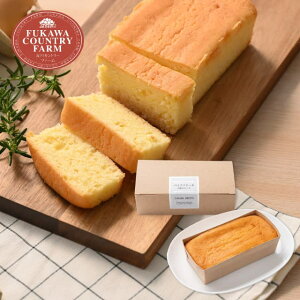 [Jg[t@[ xCNhP[L 3̃`[Y FBC-1 Mtg 䋟  TԂ @o Ԃ @v @ @v r  