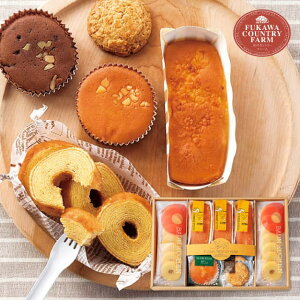 [Jg[t@[ LgXC[cZbg C FFC-03A Mtg 䋟  TԂ @o Ԃ @v @ @v r  