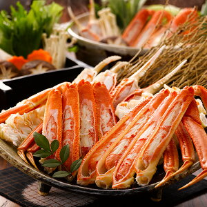 Ε I  [J[ {C{킢 800KHS 㕥Ήsi Ε 䈥A A    ~Mtg ~ Mtg  N N