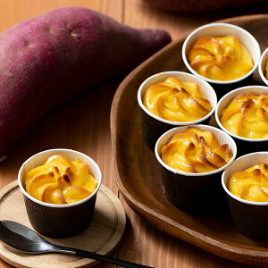 Ε XC[c  [J[ F{ Ƃ낯qĂXC[g|eg SIH-001 㕥Ήsi Ε 䈥A A    ~Mtg ~ Mtg 