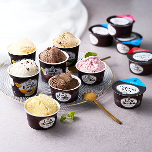 Ε XC[c  [J[ fB[{[fJbv17Zbg S057 㕥Ήsi Ε 䈥A A    ~Mtg ~ Mtg  N 