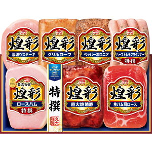 Ε n  [J[ ۑHi ʃn MV-537 㕥Ήsi Ε 䈥A A    ~Mtg ~ Mtg  N N