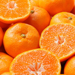 Ε t[c  [J[ a̎RY Lc݂[2.5kg] fw-ar2.5kg 㕥Ήsi Ε 䈥A A    ~Mtg ~ Mtg  N 