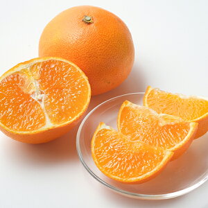 Ε t[c  [J[ QY g܂ǂ BENI-F0 㕥Ήsi Ε 䈥A A    ~Mtg ~ Mtg  N N