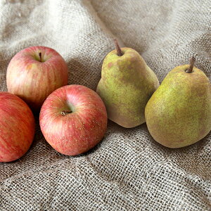 Ε t[c  [J[ TӂƃEtX fw-s5l5 㕥Ήsi Ε 䈥A A    ~Mtg ~ Mtg  N N