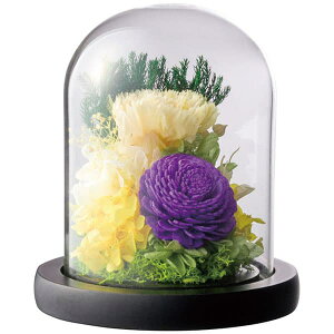  E TԂ Mtg HJ11236 j oYj  A Âё @   u @v ~  Ԃ @v Ԃ  Б e{ 