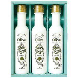 Ε 2025  E MVYEXI[KjbNI[uICMtg a-568  Hi TԂ j oYj j Cj  @v  