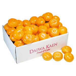 ���Ε� �t���[�c �������� ���[�J�[���� �_�C���ʉ� ���Q�݂��� ������㕥���Ή��s�i ��Ε� �䈥�A �����A ���������� ��� ���� �~�M�t�g �~ �M�t�g ���������� ���N�� ��N��