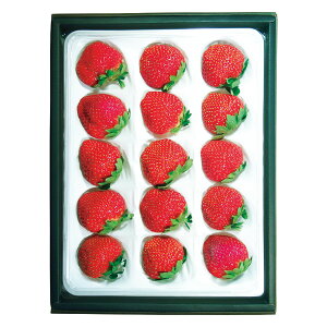 Ε t[c  [J[ ޗǎY Ós 㕥Ήsi Ε 䈥A A    ~Mtg ~ Mtg  N N