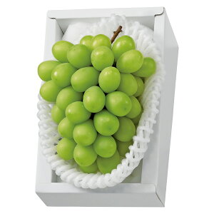 Ε t[c  [J[ RYVC}XJbg 㕥Ήsi Ε 䈥A A    ~Mtg ~ Mtg  N N