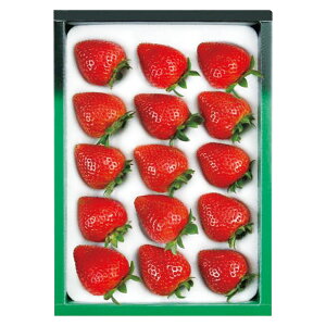 Ε t[c  [J[ _Cʉ ܂ 㕥Ήsi Ε 䈥A A    ~Mtg ~ Mtg  N N