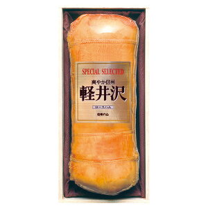 Ε n  [J[ MBnXyVy򃍁[Xn SK-100 㕥Ήsi Ε 䈥A A    ~Mtg ~ Mtg  N 