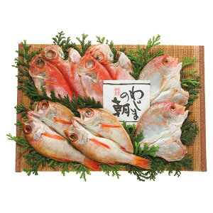 Ε   [J[ 킶܂̒ ԋZbgîǂj 㕥Ήsi Ε 䈥A A    ~Mtg ~ Mtg  N 