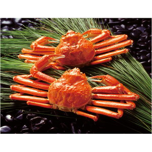 Ε I  [J[ {C킢Ɏp 㕥Ήsi Ε 䈥A A    ~Mtg ~ Mtg  N N