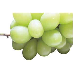 Ε t[c  [J[ _Cʉ VC}XJbg SYM-80RW 㕥Ήsi Ε 䈥A A    ~Mtg ~ Mtg  N 