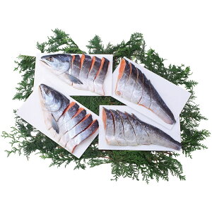 Ε TP  [J[ kCYѐVpؐg 76102 㕥Ήsi Ε 䈥A A    ~Mtg ~ Mtg  N N