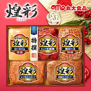 Ε n 2025 Mtg  E ۑHi ʃMtg 5{l KK-605 Hi lߍ킹 Mtg A  蕨 Ε  N N ~Mtg  ①