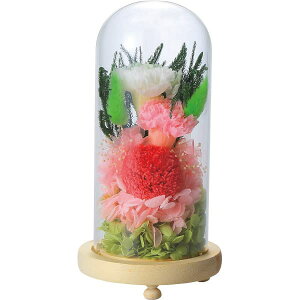  E TԂ KXh[AWg ѓ() C29320  j oYj j wj Cj  A Âё @ 