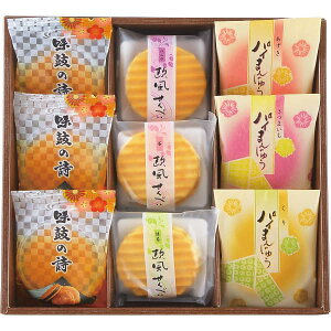 TԂ nًÂ Ɉ DSS-15 aَq j  oYj j wj Cj  A Âё @   u @v ~  Ԃ @v 