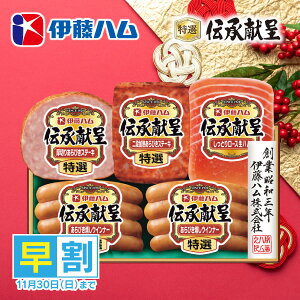 Ε  n  [J[ ɓn `Mtg TO-36V 㕥Ήsi \11/30܂ Ε 䈥A A    ~Mtg ~ Mtg 