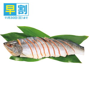 Ε  TP  [J[ kC當EKY nVgؐg(800g) 㕥Ήsi \11/30܂ Ε 䈥A A    ~Mt