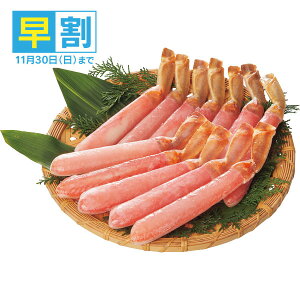 Ε  I  [J[ 吶킢ɋr|[V(500g) 㕥Ήsi \11/30܂ Ε 䈥A A    ~Mtg ~ Mtg 