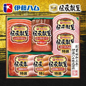 Ε O  [J[ ɓn `惍[Xgr[tnMtg TOR-51 㕥Ήsi Ε 䈥A A    ~Mtg ~ Mtg 