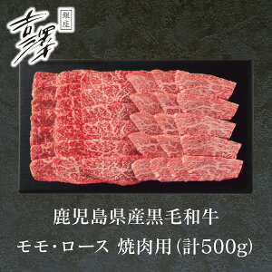 Ε   [J[ gV Yјa E[Xēp(v500g) 㕥Ήsi Ε 䈥A A    ~Mtg ~ Mtg 