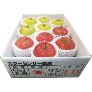 Ε t[c  [J[ XY TӂEܖ(2.5kg) 㕥Ήsi Ε 䈥A A    ~Mtg ~ Mtg  N 