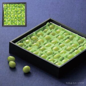 Ε t[c  [J[ VC}XJbgl(36) 㕥Ήsi Ε 䈥A A    ~Mtg ~ Mtg  N N