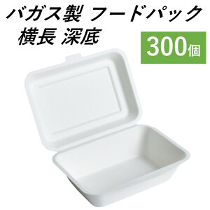 yGRłȃeCNAEgez oKXe t[hpbN [ 300 T_ g pX^ JtF A ĝėe