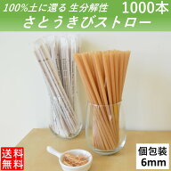 【100％土に還るストロー】 生分解性 さとうきびストロー 管径6mm 長さ210mm 1000本 紙製個別包装 カフェ…