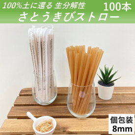 【100％土に還るストロー】 生分解性 さとうきびストロー 管径8mm 長さ210mm 100本 紙製個別包装 カフェ バー ジュース カクテル 使い切りストロー