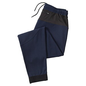 _X|Cg5{^X|[c N WK[pc 22008  z y ʋC ۉ YEFA X|[cEFA Opc h W jOEFA