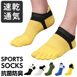 ySALEzjO\bNX 5{w\bNX Y fB[X ʋC bV X|[c\bNX CY\h z jOEFA W g[jO