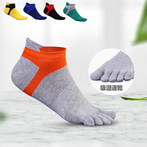 jO\bNX@AEghA@5{w\bNX@jOEFA@ʋC@bV@CY\h@C@X|[cEFA Y fB[X