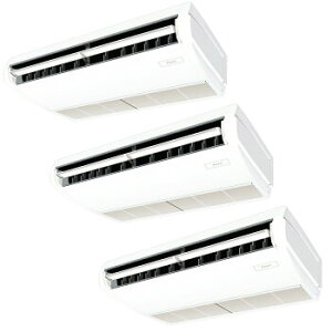 _CLDAIKIN ECO ZEAS V݁gv}`^FSZRH160BYMdFO200VTCYF6n͑F ([J[)ۏ؁F[J[ۏؕt