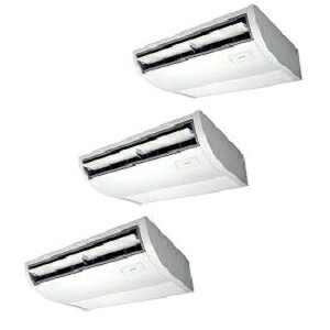 ŁETOSHIBAX[p[p[GRS[h V݌` ᓯgv^FGCSC22413MUBdFO200VTCYF8n͑F ([J[)ۏ؁F[J[ۏؕt