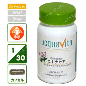 iE`OXցjANAB[^ GLiZA 30iANAr[^EAcquavitaj Tvg Ɗ n[u uuA G O ̒Ǘ Nێ Tv Mtg v[g 