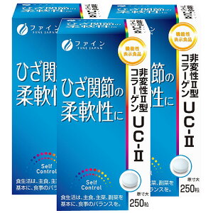 ijt@C ϐ^R[QUC|II(3{Zbg) Tvg 2^R[Q Nێ Tv K Mtg v[g bsOiLj