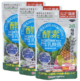 酵素プラス植物性ナノ型乳酸菌(3袋セット) ミナミヘルシーフーズ サプリメント 健康維持 サプリ 生活習慣 ギフト プレゼント 包装ラッピング可（有料）