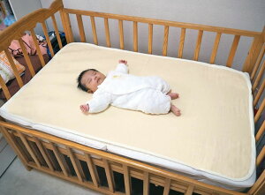 O͖ؖȎgp@N[ŃhCȐK[[xr[xbhpbhy[֔zEsz