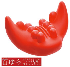 楽天市場 背筋 伸ばす ストレッチャーの通販