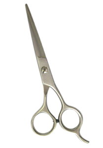 bXeX JbgnT~ 89010y[֔zEsz