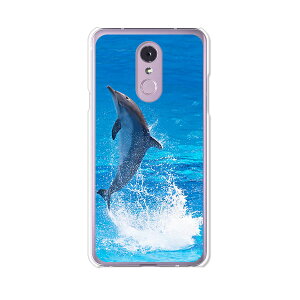 LG Q Stylus 801LG/LM-Q710XM���� �P�[�X/�J�o�[ �y�h���t�B�� �N���A�P�[�X�f�ށzLG Q�X�^�C���X �J�o�[ LMQ710XM ���C���o�C�� �y�V���o�C�� LGQStylus