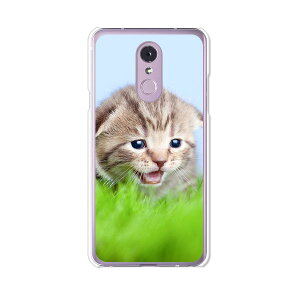 LG Q Stylus 801LG/LM-Q710XM���� �P�[�X/�J�o�[ �y�������j���� �N���A�P�[�X�f�ށzLG Q�X�^�C���X �J�o�[ LMQ710XM ���C���o�C�� �y�V���o�C�� LGQStylus