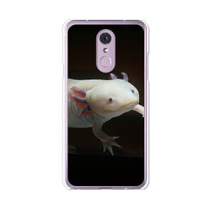 LG Q Stylus 801LG/LM-Q710XM���� �P�[�X/�J�o�[ �y�E�[�p�[���[�p�[ �N���A�P�[�X�f�ށzLG Q�X�^�C���X �J�o�[ LMQ710XM ���C���o�C�� �y�V���o�C�� LGQStylus