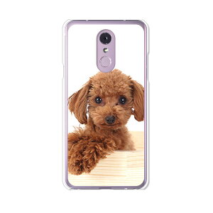 LG Q Stylus 801LG/LM-Q710XM���� �P�[�X/�J�o�[ �y�v�[�h�� �N���A�P�[�X�f�ށzLG Q�X�^�C���X �J�o�[ LMQ710XM ���C���o�C�� �y�V���o�C�� LGQStylus